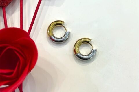 Noma earrings
