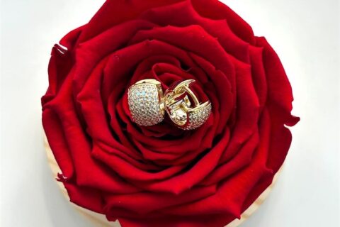 Imperial earrings